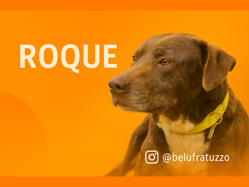 Roque