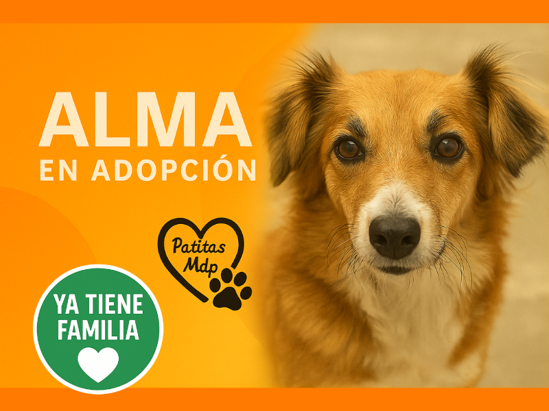 Alma