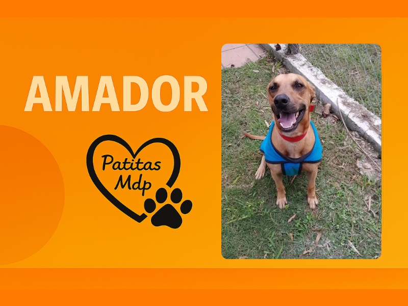 Amador