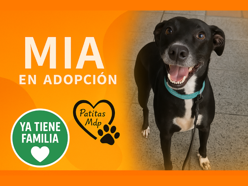 Mia