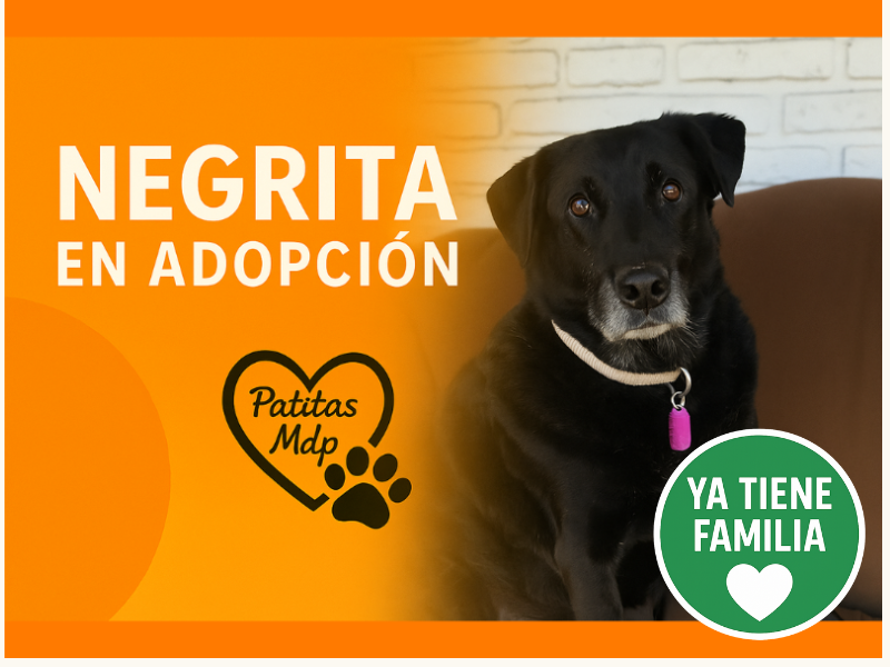 Negrita