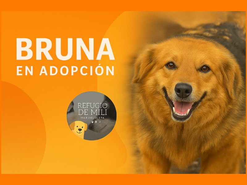 Bruna
