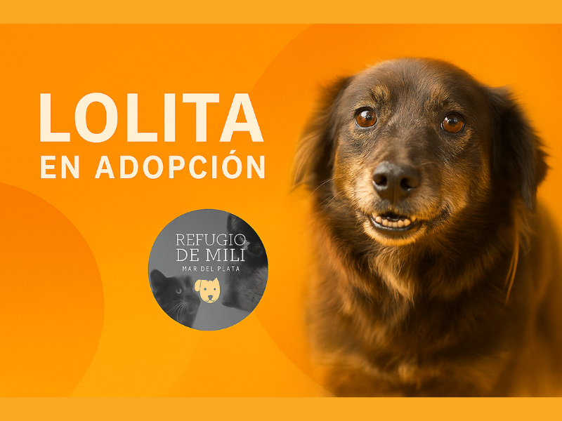 Lolita