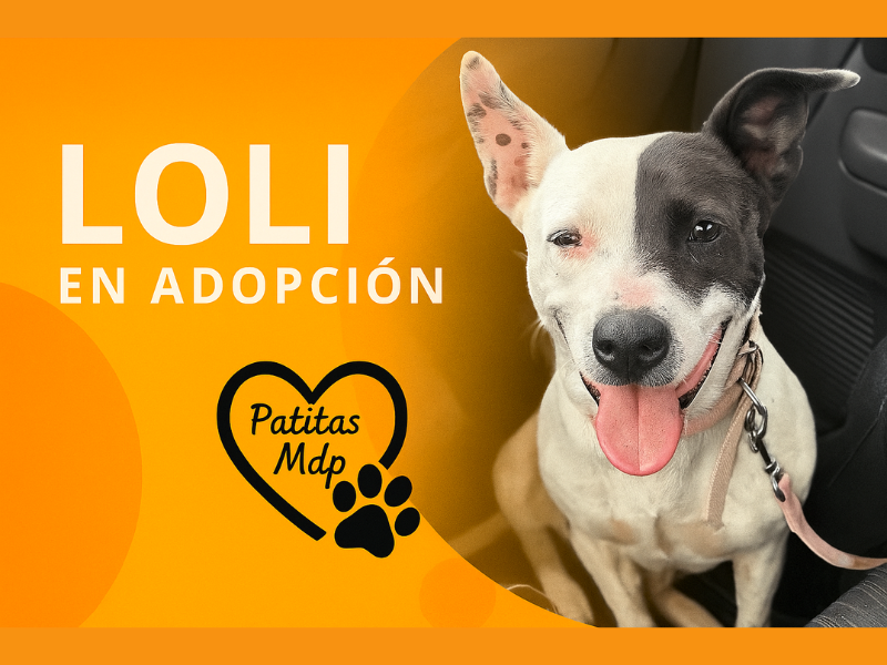 Loli