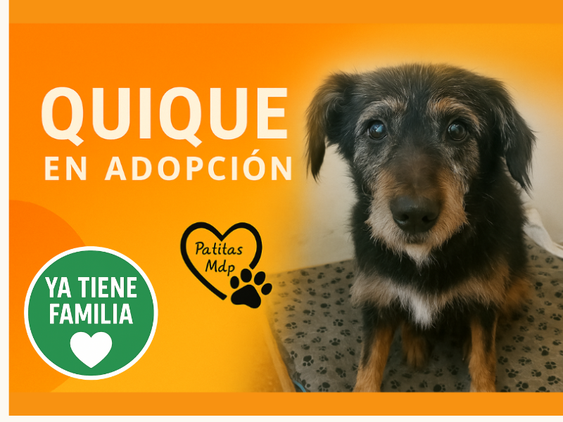 Quique
