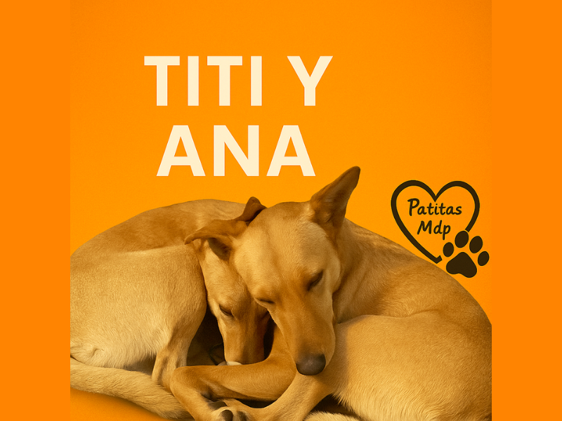 Titi y Ana