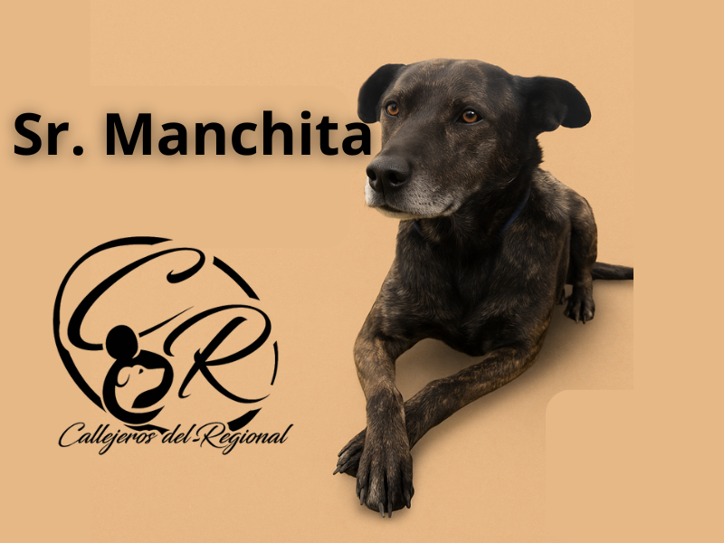 Sr. Manchita