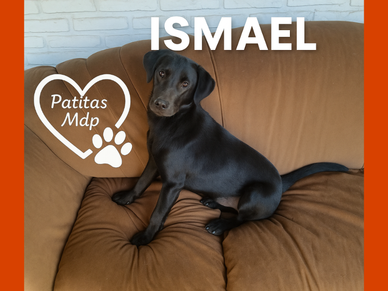 Ismael
