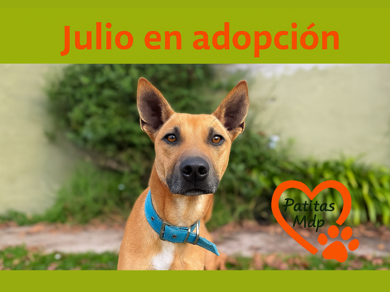 Julio