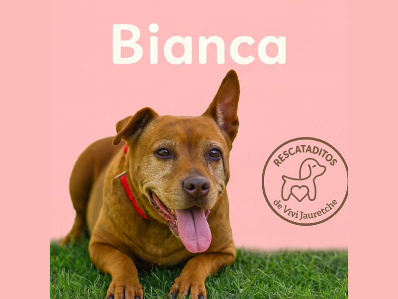Bianca