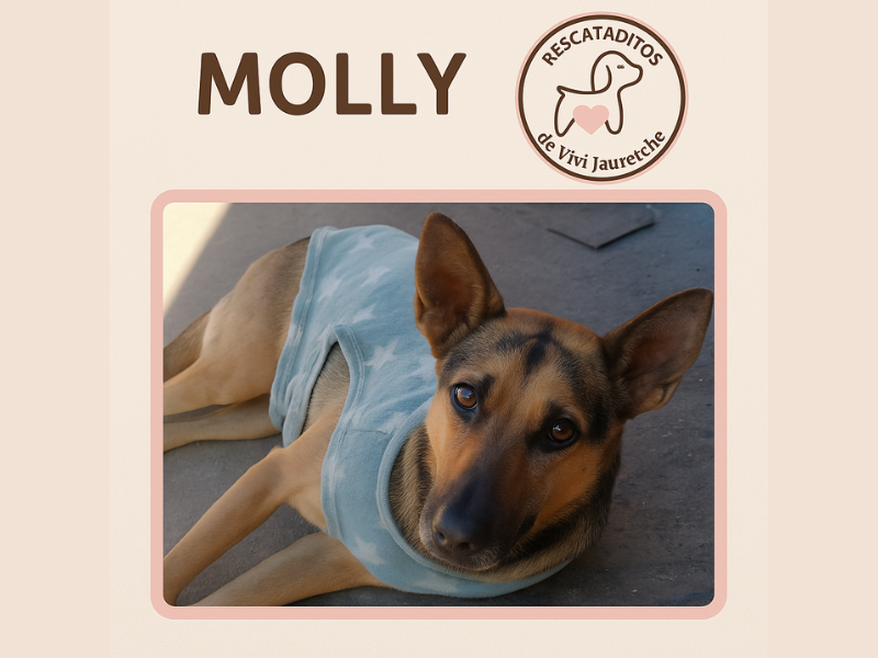 Molly