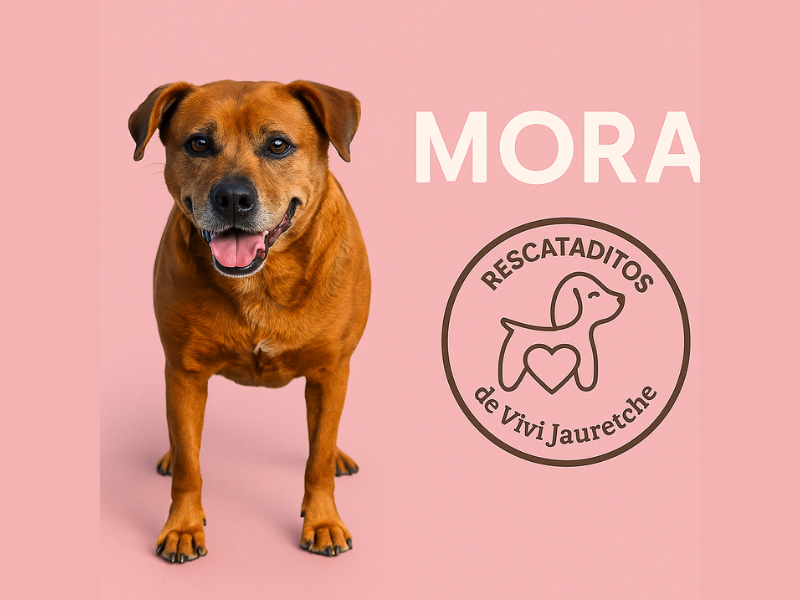 Mora